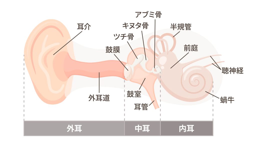 内耳の障害